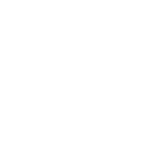 bonifiche italia srls logo